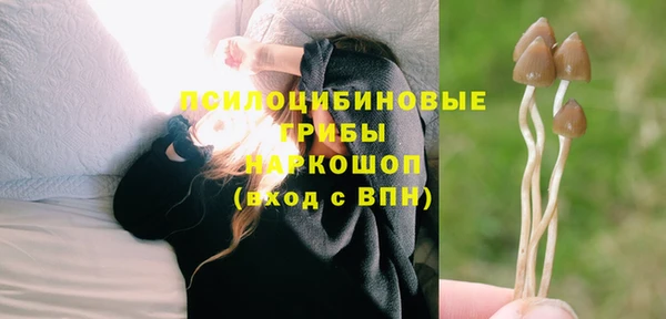 мдма Гусиноозёрск