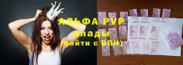 спайс Гусев