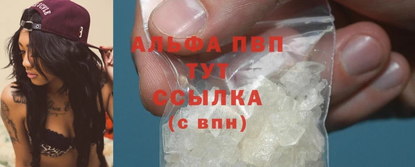 стаф Гусь-Хрустальный