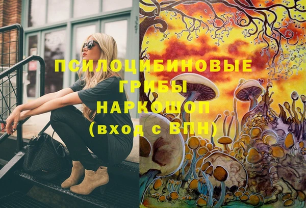 стаф Гусь-Хрустальный