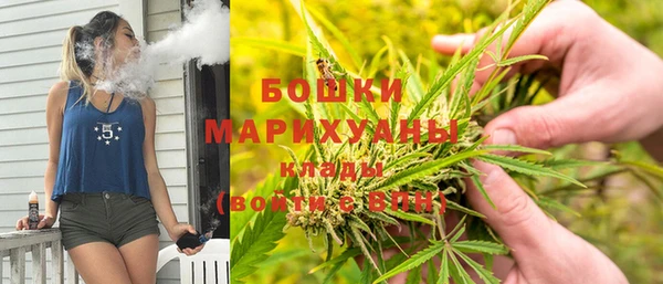 спайс Гусев