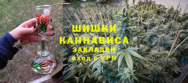 стаф Гусь-Хрустальный