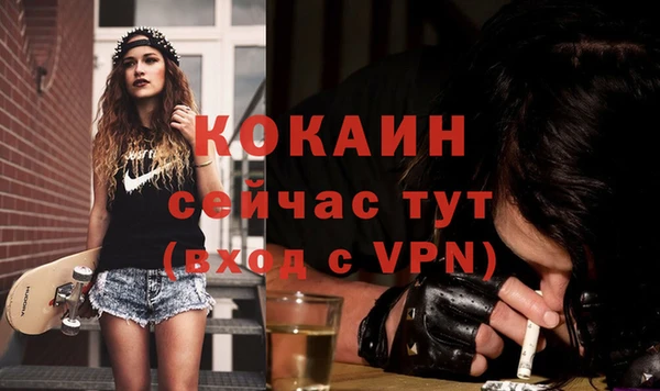 стаф Гусь-Хрустальный