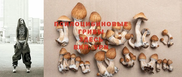 мдма Гусиноозёрск