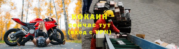 стаф Гусь-Хрустальный