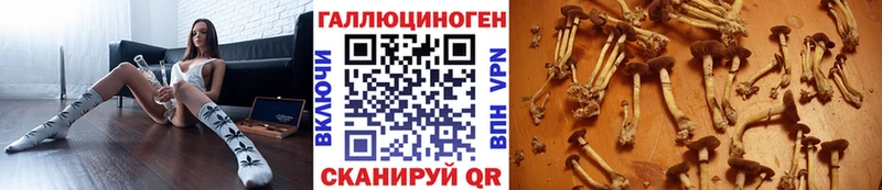 Галлюциногенные грибы ЛСД  Купить закладки  Анадырь 